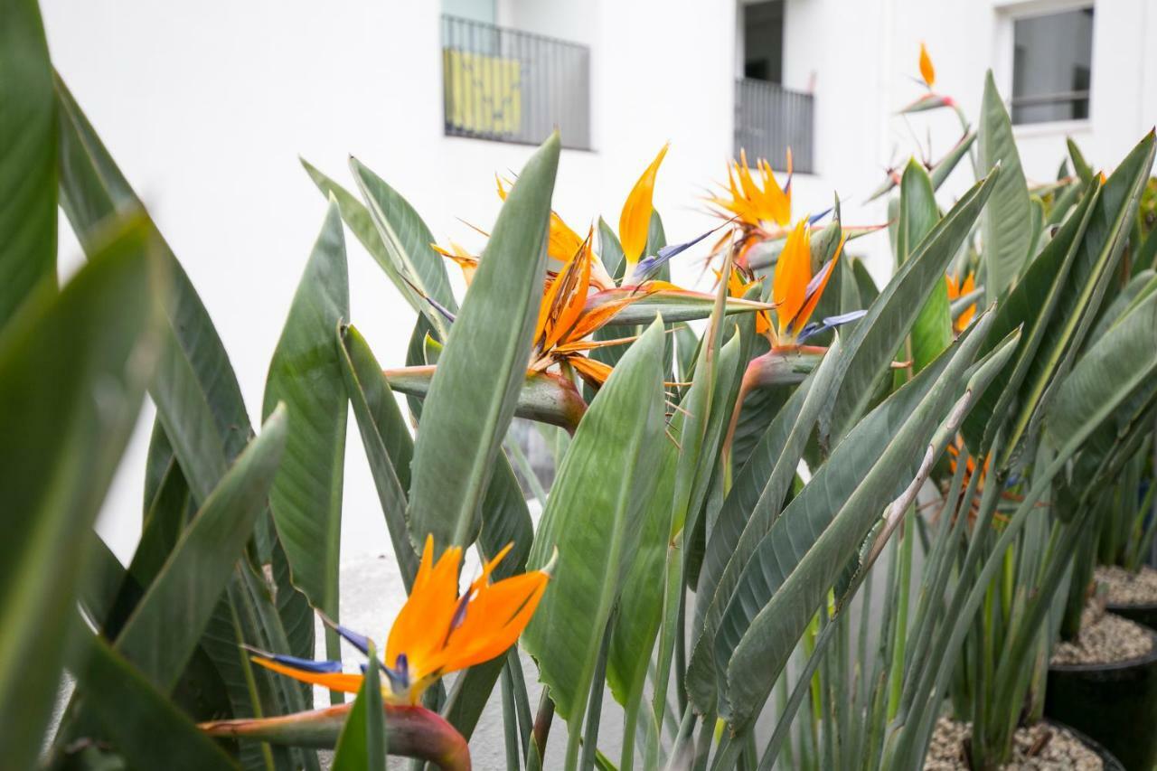 Lisbon Downtown Apartment Free Parking Ngoại thất bức ảnh
