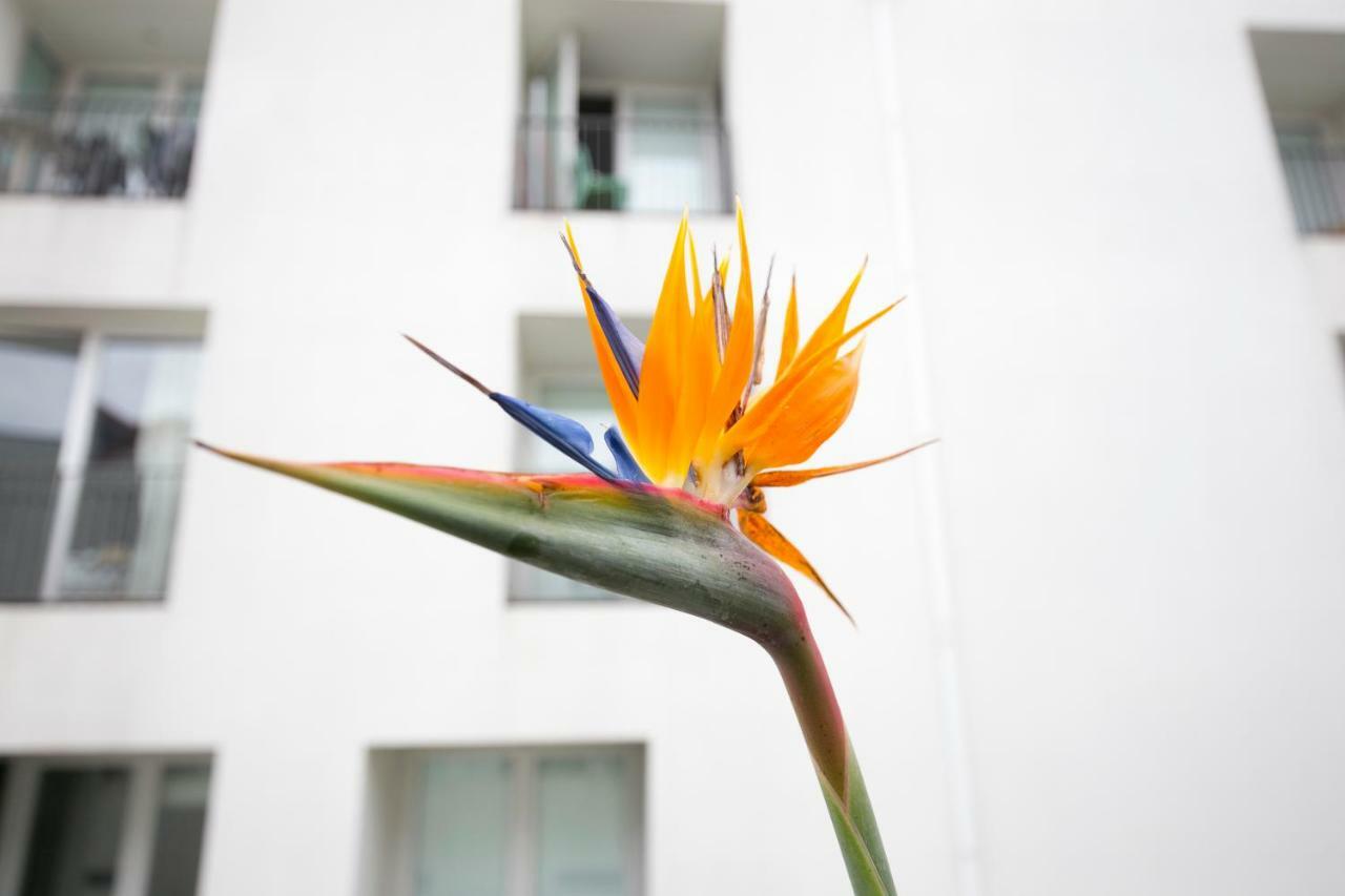 Lisbon Downtown Apartment Free Parking Ngoại thất bức ảnh